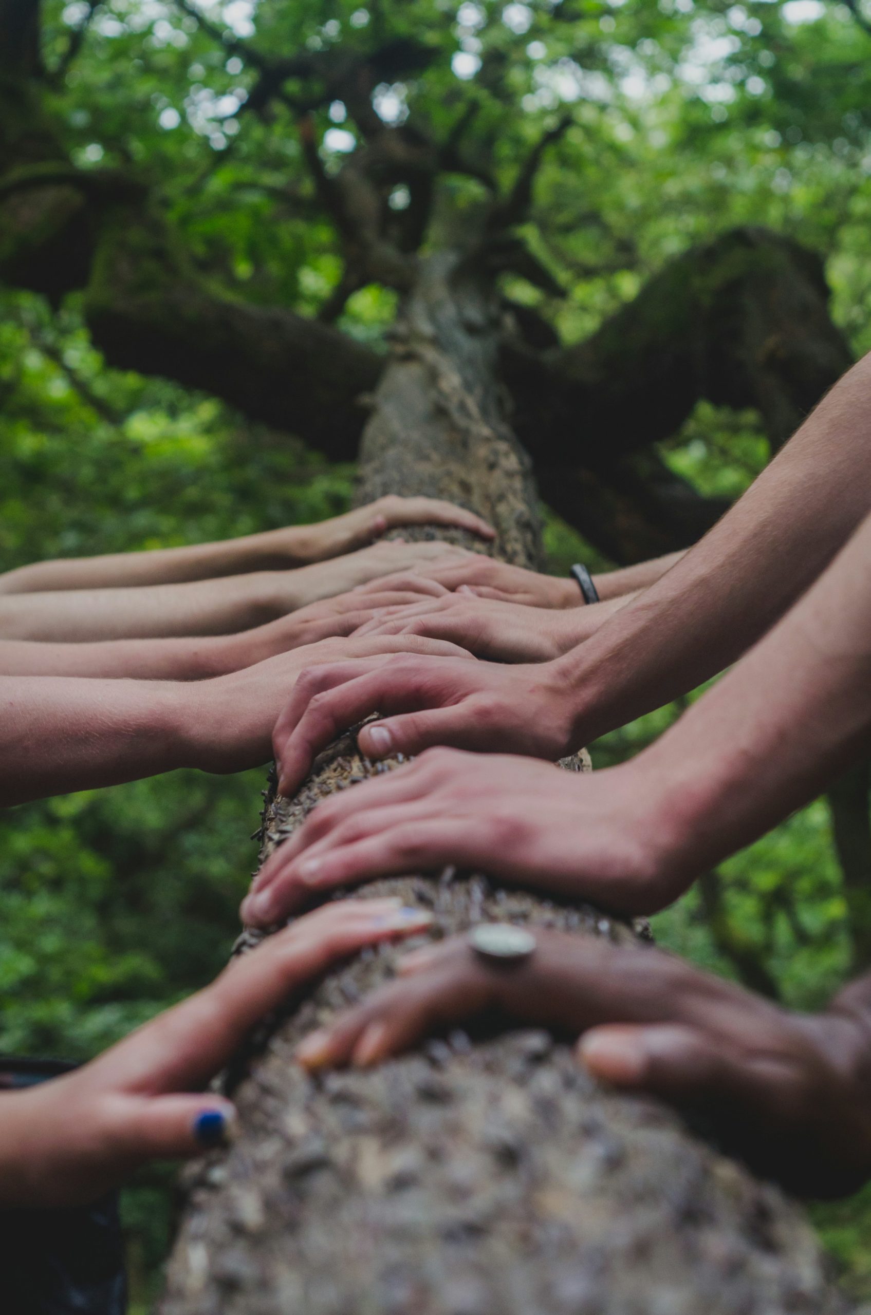 Social Responsibility